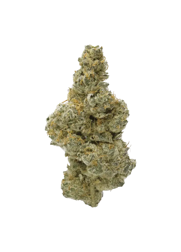 CAMPFIRE GAS 3.5G