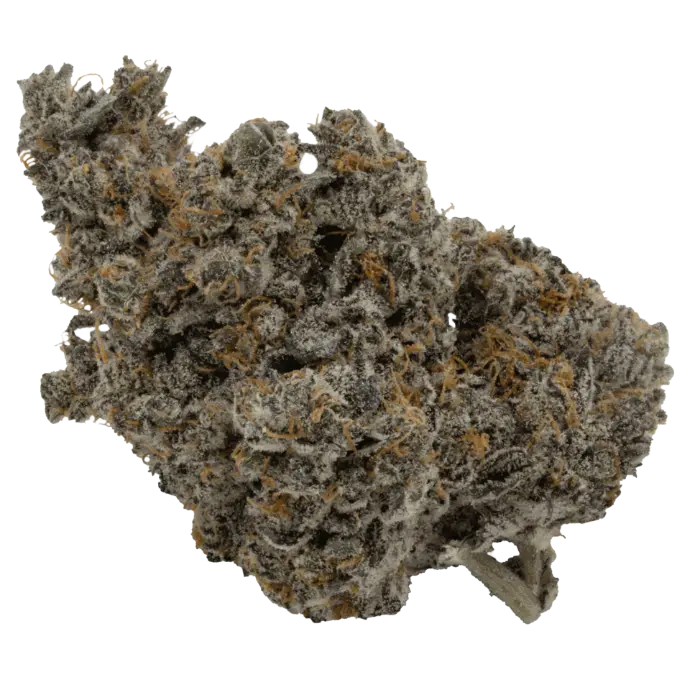 ICE BURN 14G