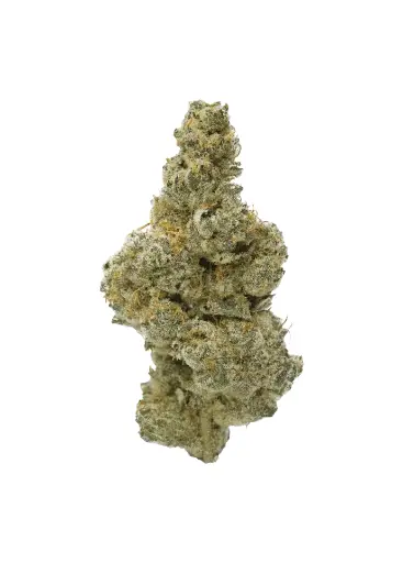 CAMPFIRE GAS 3.5G