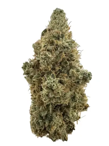 DIRTY TAXI 7G